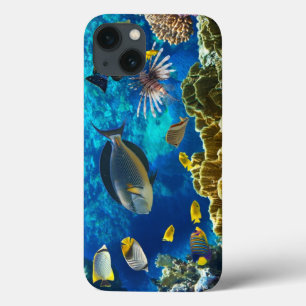 Photo of a tropical Fish on a coral reef