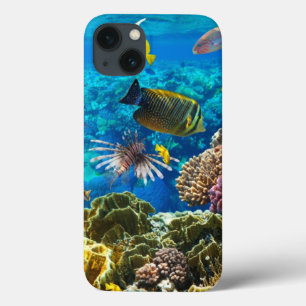 Photo of a tropical Fish on a coral reef