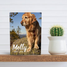 Photo Pet Memorial Plaque Dog Loss Keepsake Gift