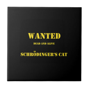 Piada Quântica Divertida: O Gato de Schrödinger à