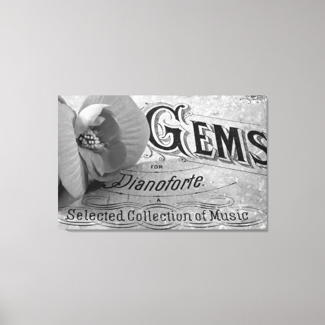 Pianoforte Gems E Begonia Blossom Canvas (Frente)