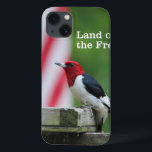 Pica-pau-de-cabeça-vermelha<br><div class="desc">Pica-pau de cabeça vermelha num alimentador de aves do quintal com uma bandeira americana. Foto enviada por um leitor de Birds & Blooms. Birds & Blooms é a revista nº 1 de pássaros e jardins na América do Norte. Orgulhamo-nos em celebrar o cobrir da "beleza no seu próprio quintal" uma...</div>