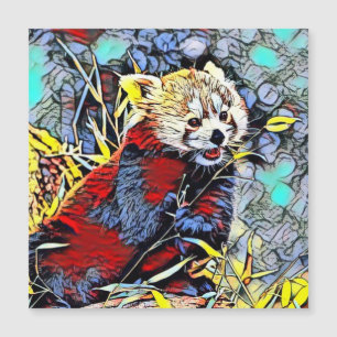 Picada de Cor - Panda Vermelha