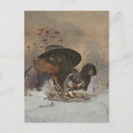 Picardy Spaniel , Cartão postal da temporada de ca