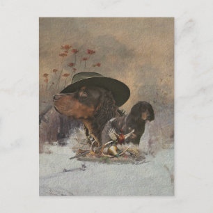 Picardy Spaniel , Cartão postal da temporada de ca