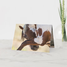 Picasso Gira Cartão de Saudação Cavalo Selvagem