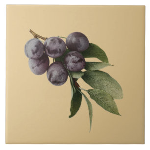 ~Pick de Botanical~Kitchen das ameixas algum fundo