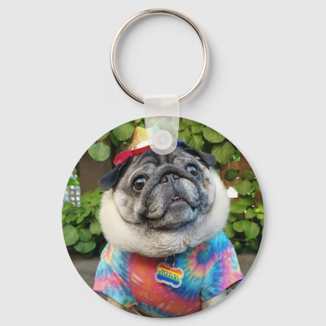 Picles Colorful Chaveiro (Frente)