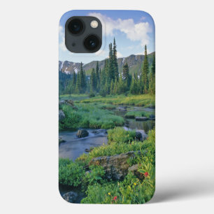 Picnic Creek no Jewel Basin de Swan