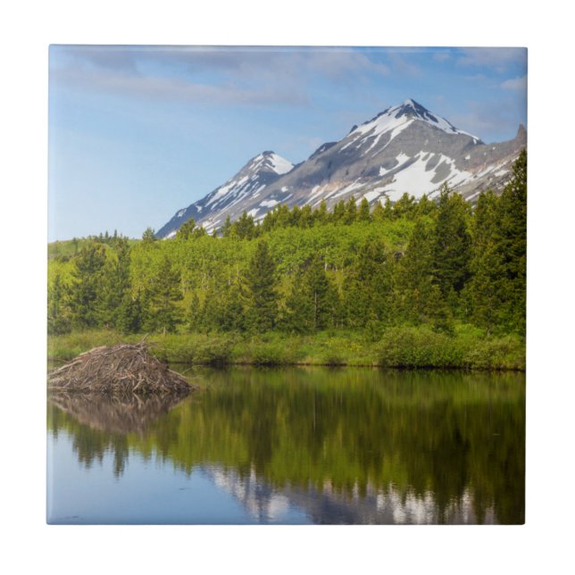 Picos de Montanhas Refletidos em uma Lagoa de Cast (Frente)