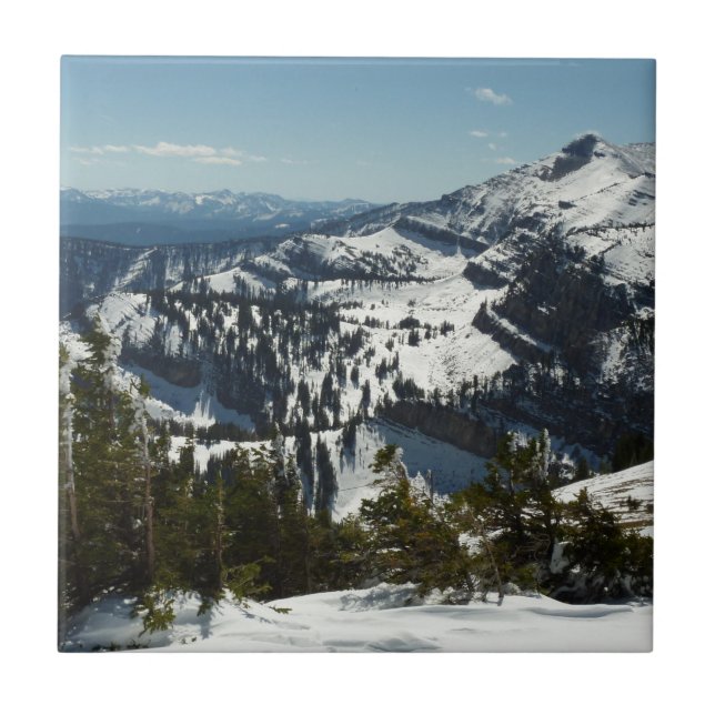 Picos de neve da Grande Montanha Teton II Foto (Frente)