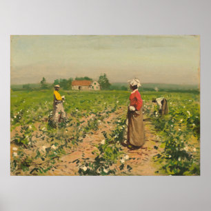 Picting Cotton - William G. Gaul Fine Art Poster
