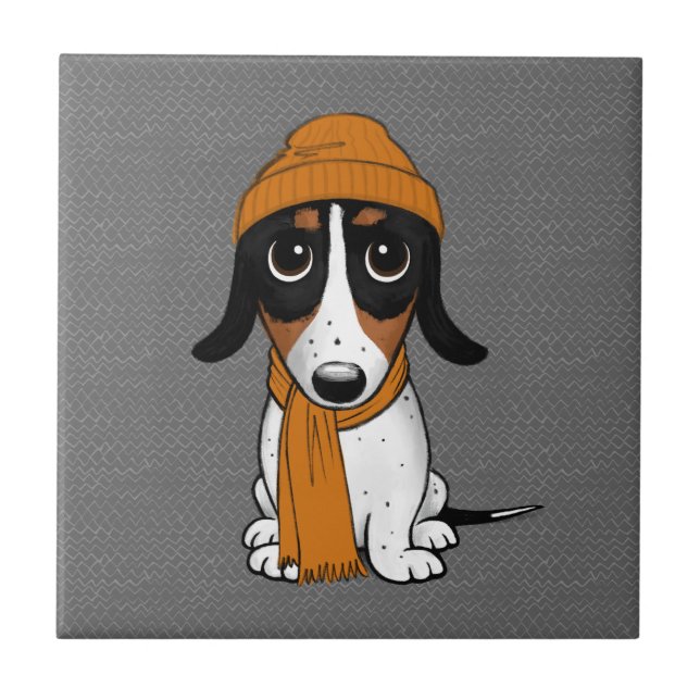 Piebald Dachshund | Cachorro-Hipster (Frente)