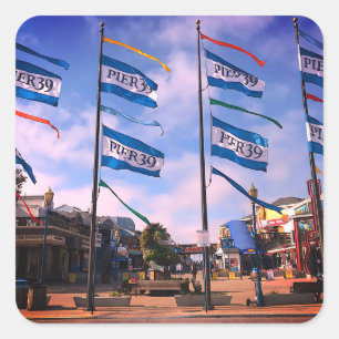 Pier 39 Estátua de Leão Marinho 3 Adesivos