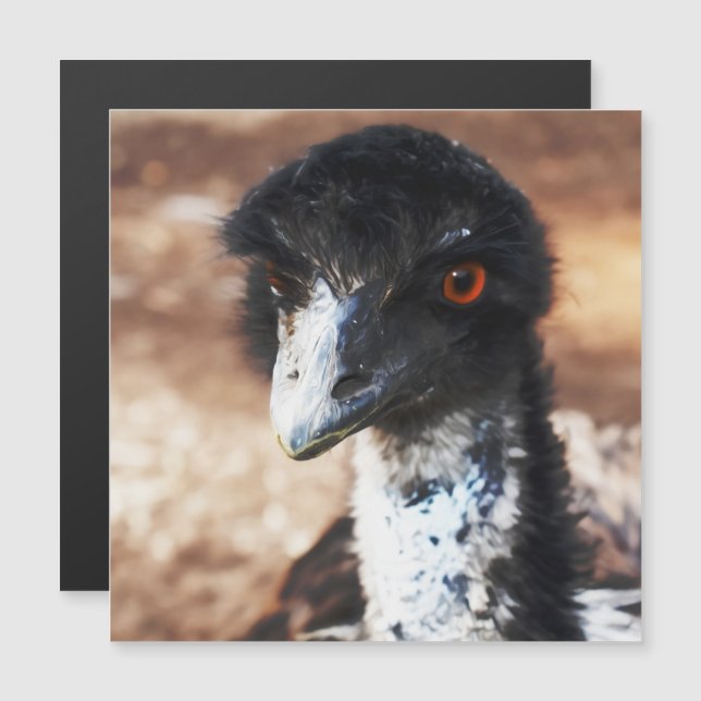 Piercing de Olhos da Placa Magnética de Saída (Frente/Verso)