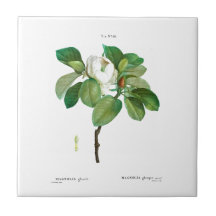 PIERRE-JOSEPH REDOUTÉ MAGNOLIA AZULEJO CERÂMICO