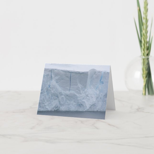 Pifres de gelo, cartão Nekko Harbour (Frente)