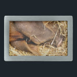 PIG<br><div class="desc">Este porco muito bonito está dormindo no leito da palha.</div>