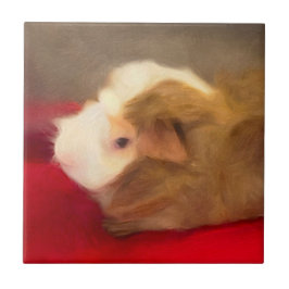 Pig. de Cabelo Longo