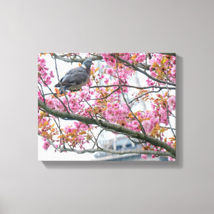 Pigeon Descansando Em Uma Tree Branch Canvas Print