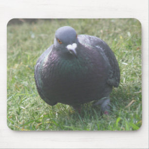 Pigeon Mousepad