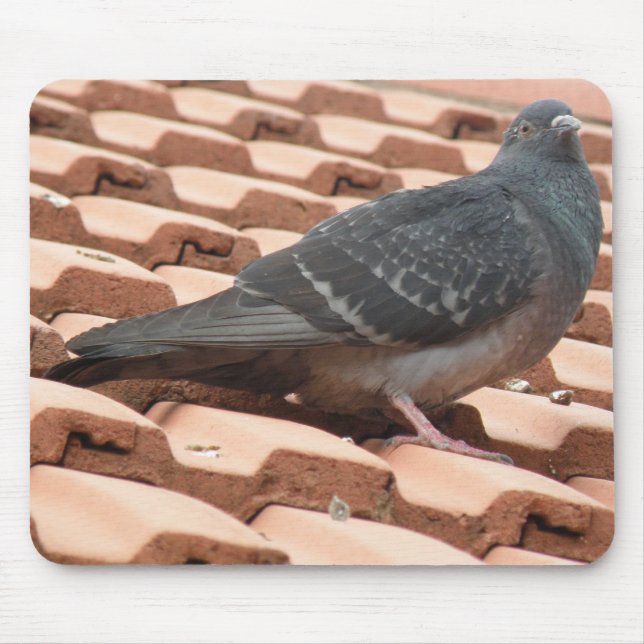 Pigeon Mousepad De Telhado (Frente)