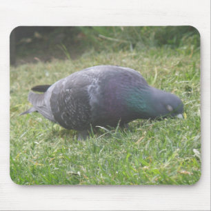 Pigeon Mousepad Dormindo
