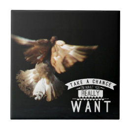 Pigeon Tome Uma Oportunidade