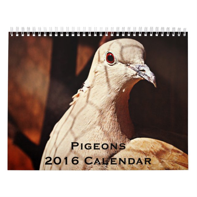 Pigeons 2016 Calendário (Capa)