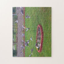 Pigeons Aterrissando Tirando o Quebra-cabeça de al