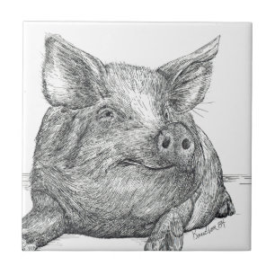 Piglet