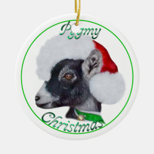 Pigmy Goat no Enfeites de natal de Santa Hat