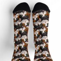 Pilha De Meias De Gato