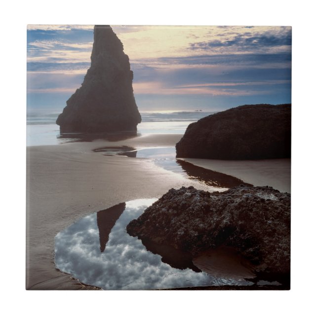 Pilha marinha em forma de espinho | Face Rock Ways (Frente)