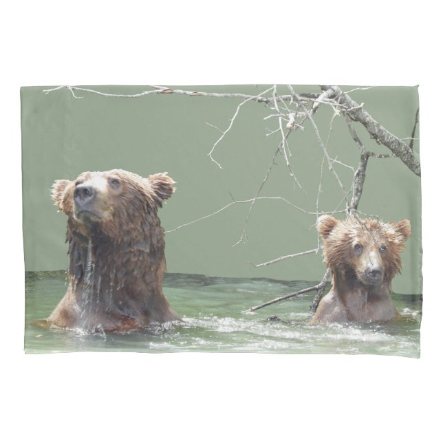 Piloto do solteiro, Tamanho Padrão com ursos pardo (Frente)