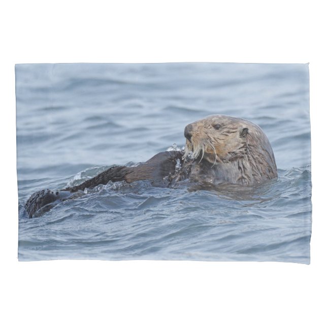 Piloto Padrão da face (Frente)