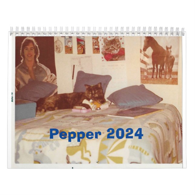Pimenta O Calendário Cat 2024 (Capa)
