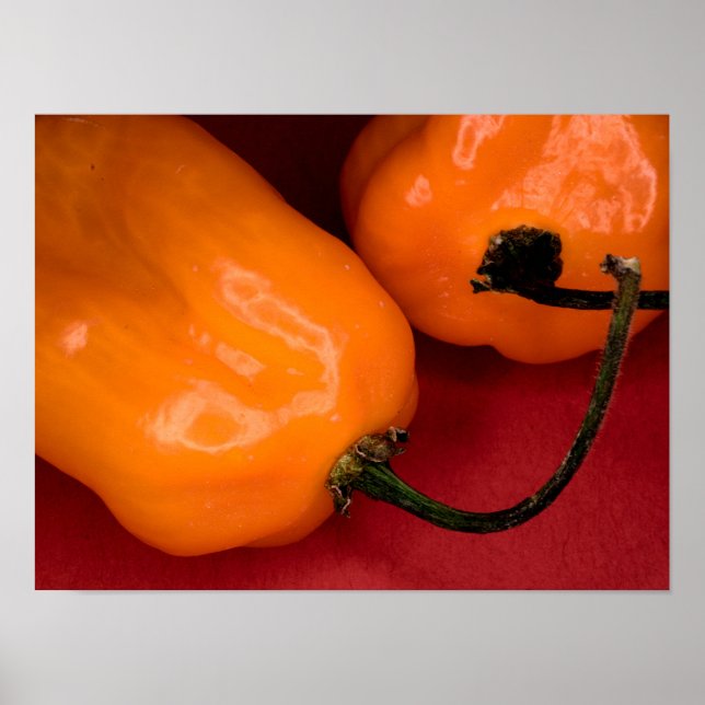 Pimentos de picaria habanero poster (Frente)