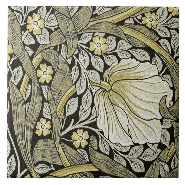 Pimpernel - Bottom Right  (Frente)