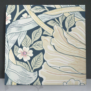 Pimpernel sem costura 1 de 12 azul esmaecido amare