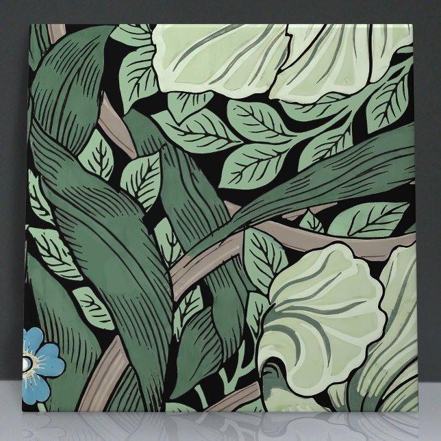 Pimpernel Sem Costura 5 de 12 Sage Verde Azul (Criador carregado)