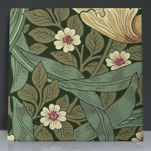 Pimpernel Sem Costura 5 de 12 Verdes Amarelas Quen