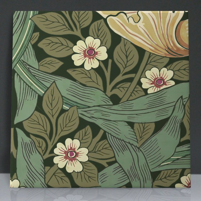 Pimpernel Sem Costura 5 de 12 Verdes Amarelas Quen (Criador carregado)