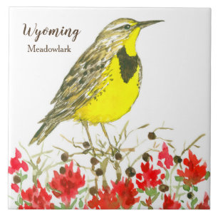 Pincel indiano Meadowlark Wyoming Souvenir