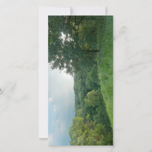 Pine Bend Bluff Sobrevendo áreas florestais do Val