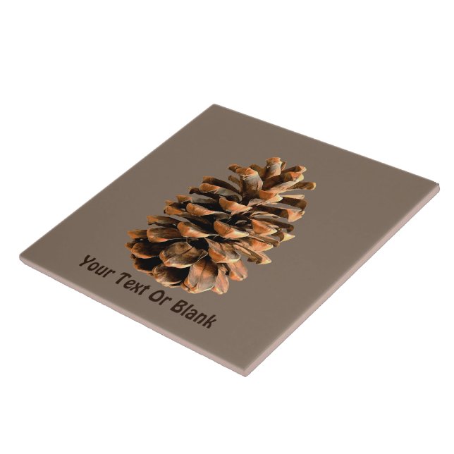 Pine Cone (Lateral)
