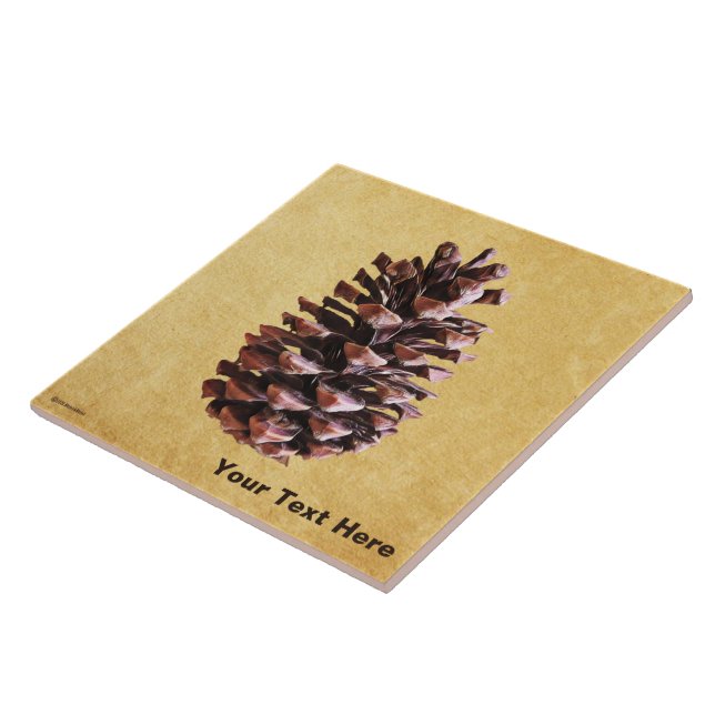 Pine Cone Em Papel Vintage (Lateral)