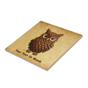 Pine Cone Owl