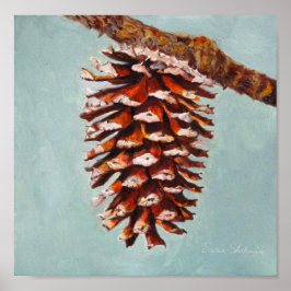 Pine Cone Poster