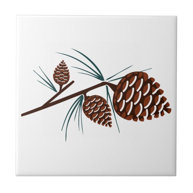 Pine Cones (Frente)